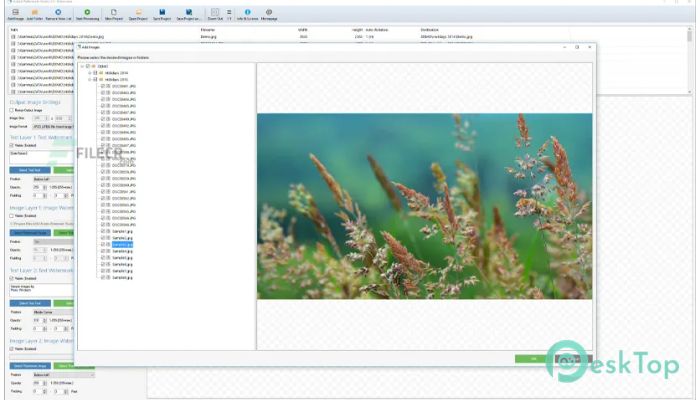 Download Arclab Watermark Studio 4.4 Free Full Activated