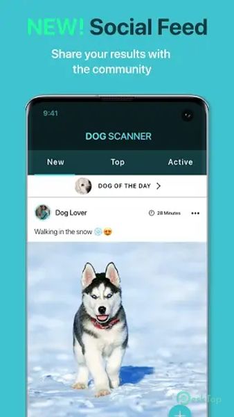 Dog Scanner: Breed Recognition 22.2.1-G APK MOD Полная бесплатная загрузка