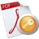 top-password-pdf-password-recovery_icon