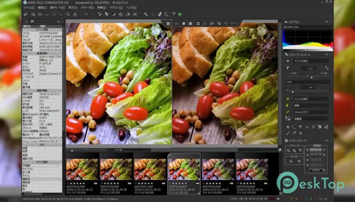 Скачать SILKYPIX RAW Converter 1.0.10.0 полная версия активирована бесплатно