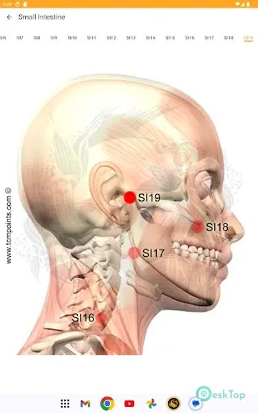 Acupuncture Assistant 8.0.17 APK MOD Полная бесплатная загрузка