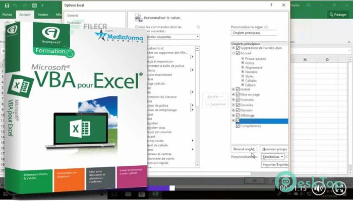 Download Avanquest Formation VBA Excel  1.0.0.0 Free Full Activated