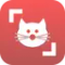Cat Scanner: Breed Recognition