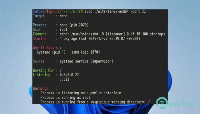 Скачать Witr  0.2.6 полная версия активирована бесплатно