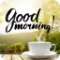 Good Morning GIF Images