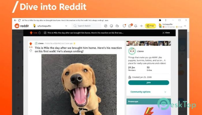 Download Reddit For Windows 1.0 Free Full Activated