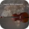 Ample Sound Ample Bass Upright