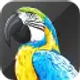 avsoft-av-digital-talking-parrot_icon