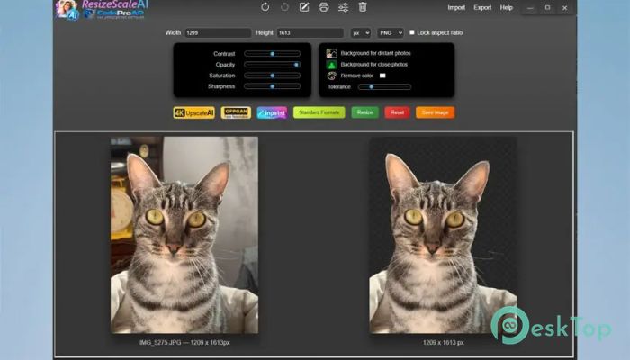 تحميل برنامج ResizeScaleAI Pro Edition 1.2.1 برابط مباشر