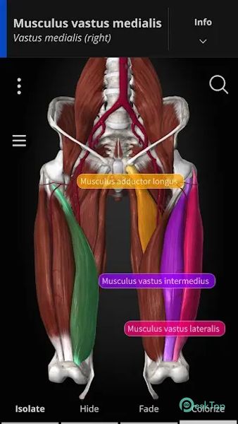 Anatomyka - 3D Anatomy Atlas 3.2.5 APK MOD Tam Ücretsiz İndir