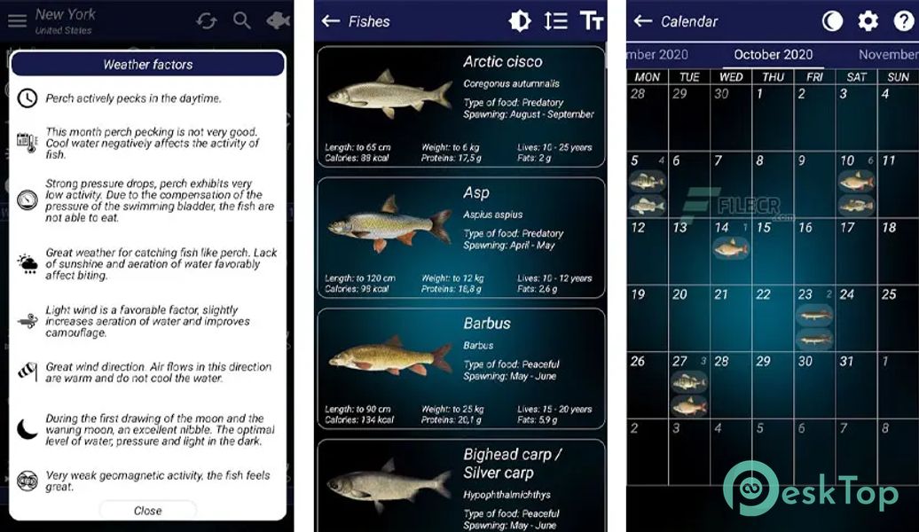 Fishing forecast v7.20 APK MOD Полная бесплатная загрузка