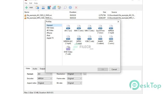 Download Video Shaper 4.8 Free Full Activated