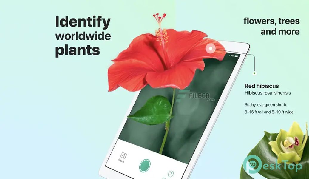 PictureThis - Plant Identifier 5.1.1 APK MOD 完整免费下载