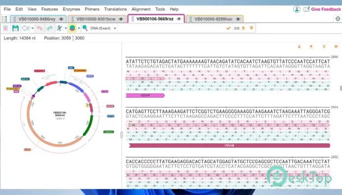 Descargar VectorBee 1.0 Completo Activado Gratis