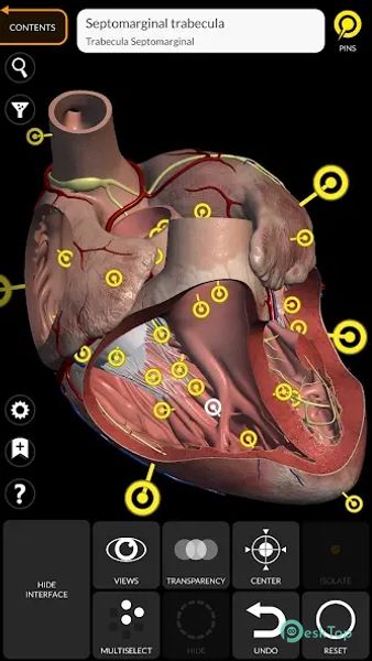 Télécharger Anatomy 3D Atlas 6.7.0 APK MOD Gratuitement et Complet