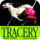 aescripts-tracery_icon