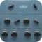 Nomad Factory Retro EQs Bundle