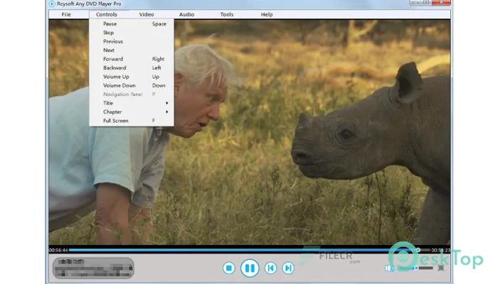 Rcysoft Any DVD Player Pro  13.8.0.0 Tam Sürüm Aktif Edilmiş Ücretsiz İndir