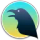 raven-reader_icon