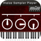 Maizesoft-Maize-Sampler_icon