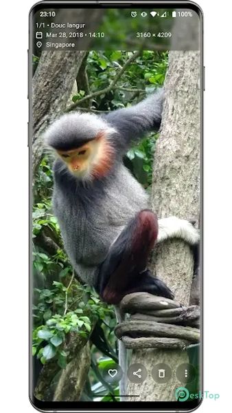 Aves Gallery 1.13.5 APK MOD Descarga gratuita completa
