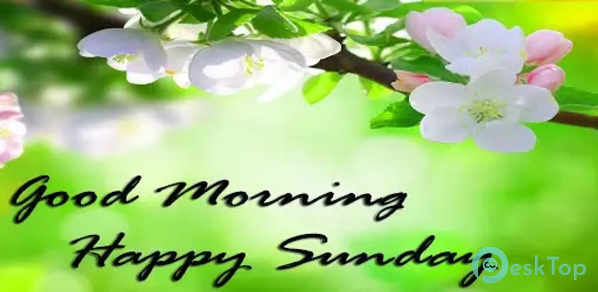 Happy Sunday GIF Greeting 1.8 APK MOD Tam Ücretsiz İndir