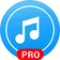 Music Player Pro1