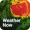 Weather Now Launcher - Radar