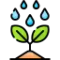 Plant Care: Watering