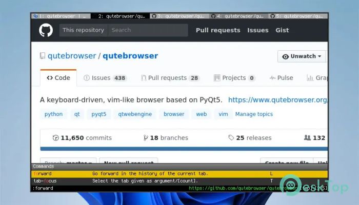 Descargar QuteBrowser 3.6.3 Completo Activado Gratis