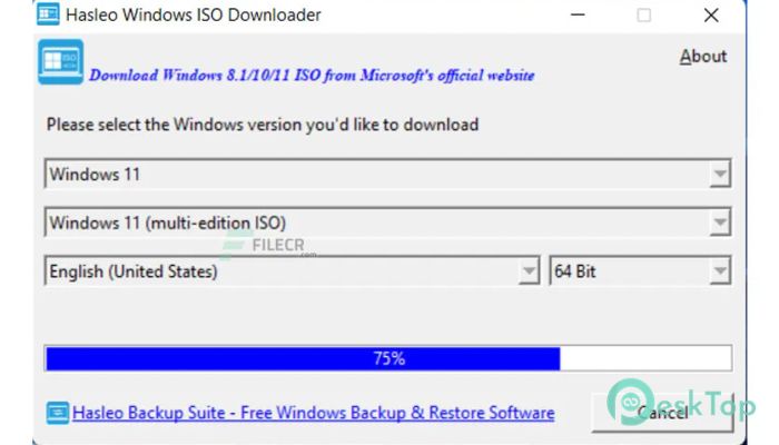 Hasleo Windows ISO Downloader 2.2 Tam Sürüm Aktif Edilmiş Ücretsiz İndir