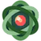 Nucleus Co-op