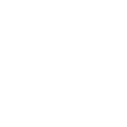 PeskTop logo