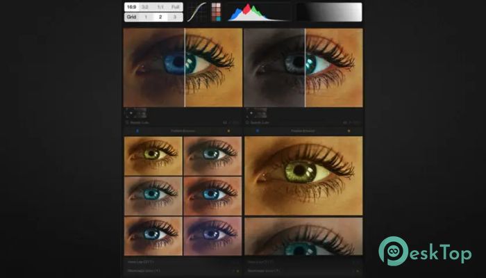 تحميل برنامج AEScripts LUTs Manager 1.0.0 برابط مباشر