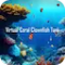 Virtual Coral Clownfish Tank
