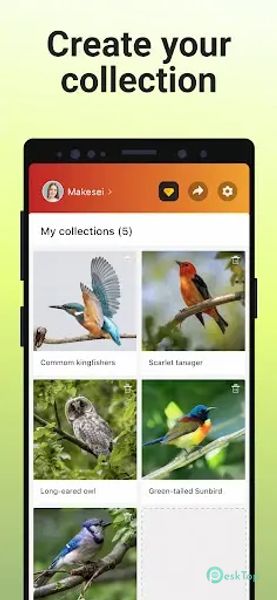 Picture Bird - Bird Identifier 2.9.30 APK MOD Полная бесплатная загрузка