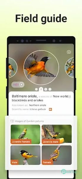 Picture Bird - Bird Identifier 2.9.30 APK MOD Полная бесплатная загрузка