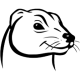 pcferret-pro_icon