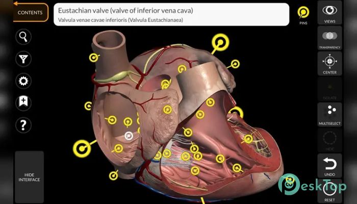 Télécharger Anatomy 3D Atlas 1.0 Gratuitement Activé Complètement