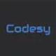 learn-coding-codesy_icon