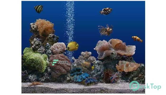 SereneScreen Marine Aquarium 3.3.6381 Tam Sürüm Aktif Edilmiş Ücretsiz İndir