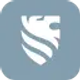 sensor-alarm_icon