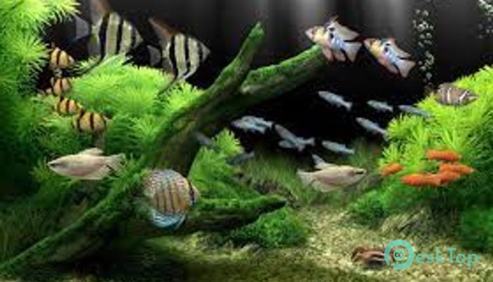 Dream Aquarium 1.293 完全アクティベート版を無料でダウンロード