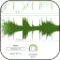 Press Play Wave Breaker Pro