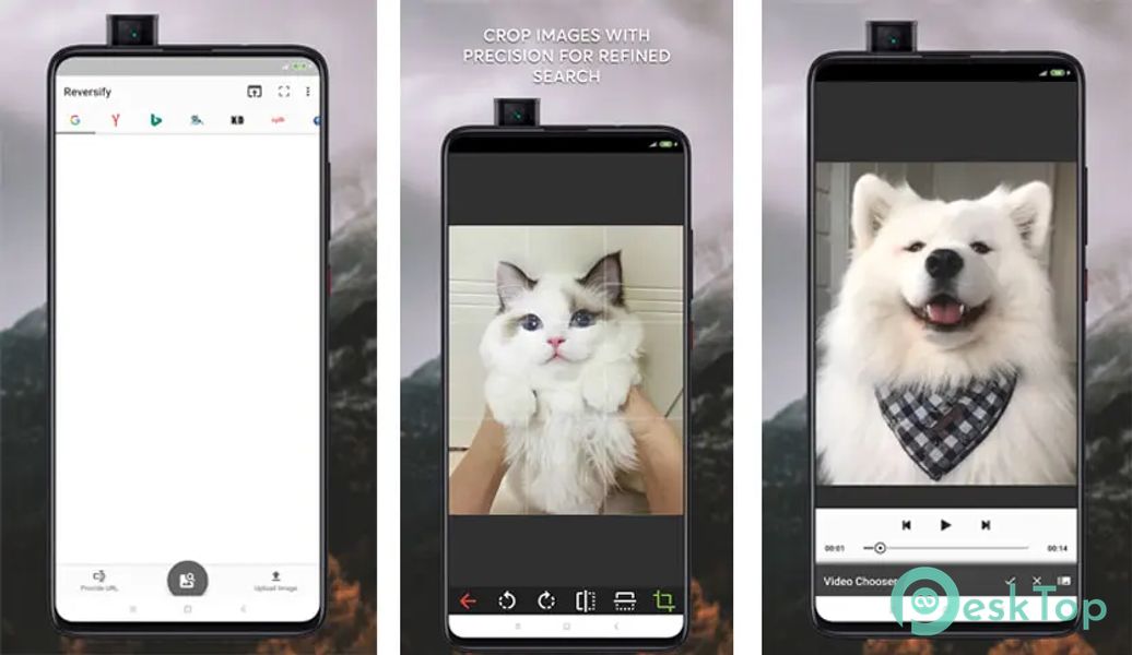 Reversify - Reverse Image Search