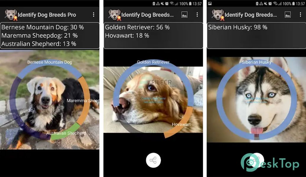 Identify Dog Breeds Pro 28 APK MOD Полная бесплатная загрузка