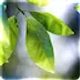 Araçlar ve Yardımcı Programlar 1.9.6 icon