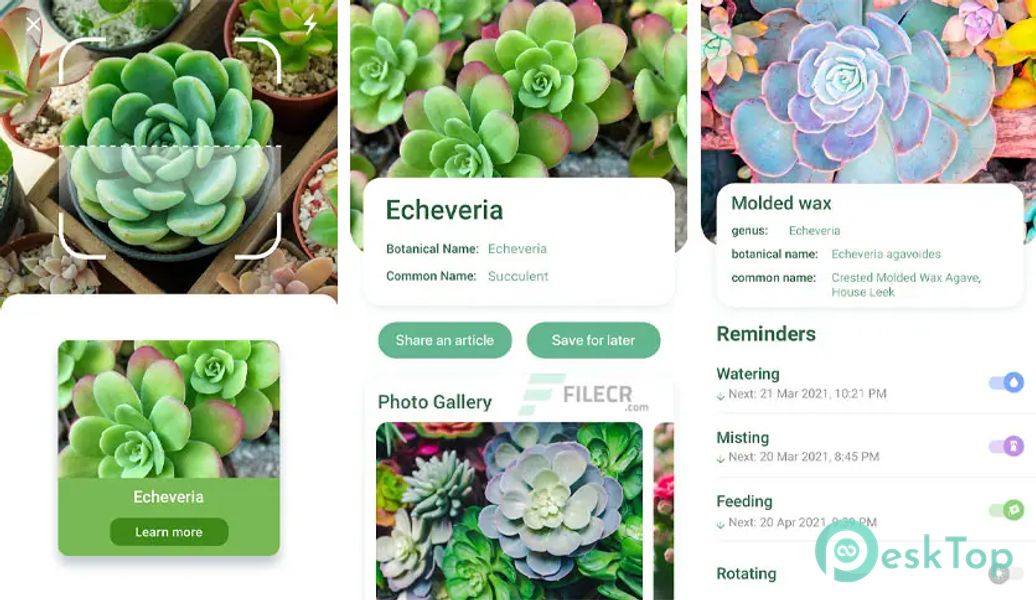 NatureID: Identify plants, flowers, trees & leaves