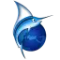 FISHSURFING