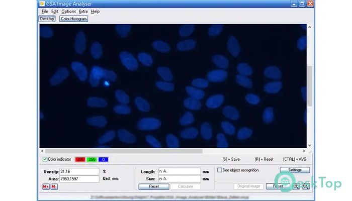 Скачать GSA Image Analyser 1.0 полная версия активирована бесплатно
